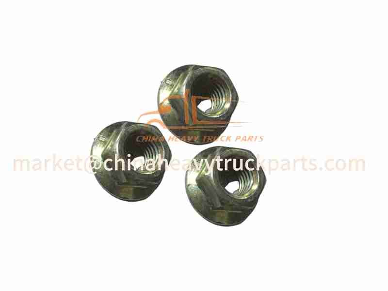 ZQ32312T13F6-HEXAGON NUTS WITH FLANGE